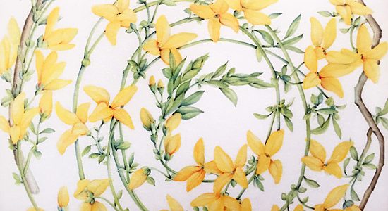 ～石井逸郎の世界展～のご案内