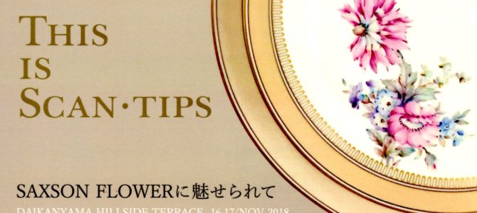 スカンティップス特別展のご案内