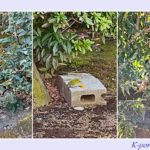 3月～メジロ来る